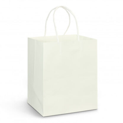 Medium Paper Carry Bag aEUR" Full Colour